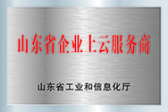 Shandong Enterprise Cloud Service Provider